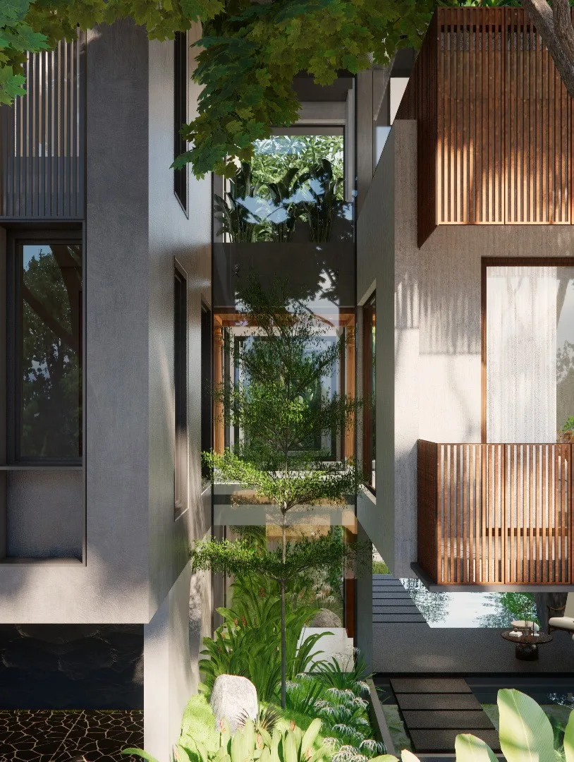 Vertical view of a planted courtyard between timber-screened volumes